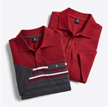 Pegasus Two Pack Stripe and Plain Pique Polo - ML666